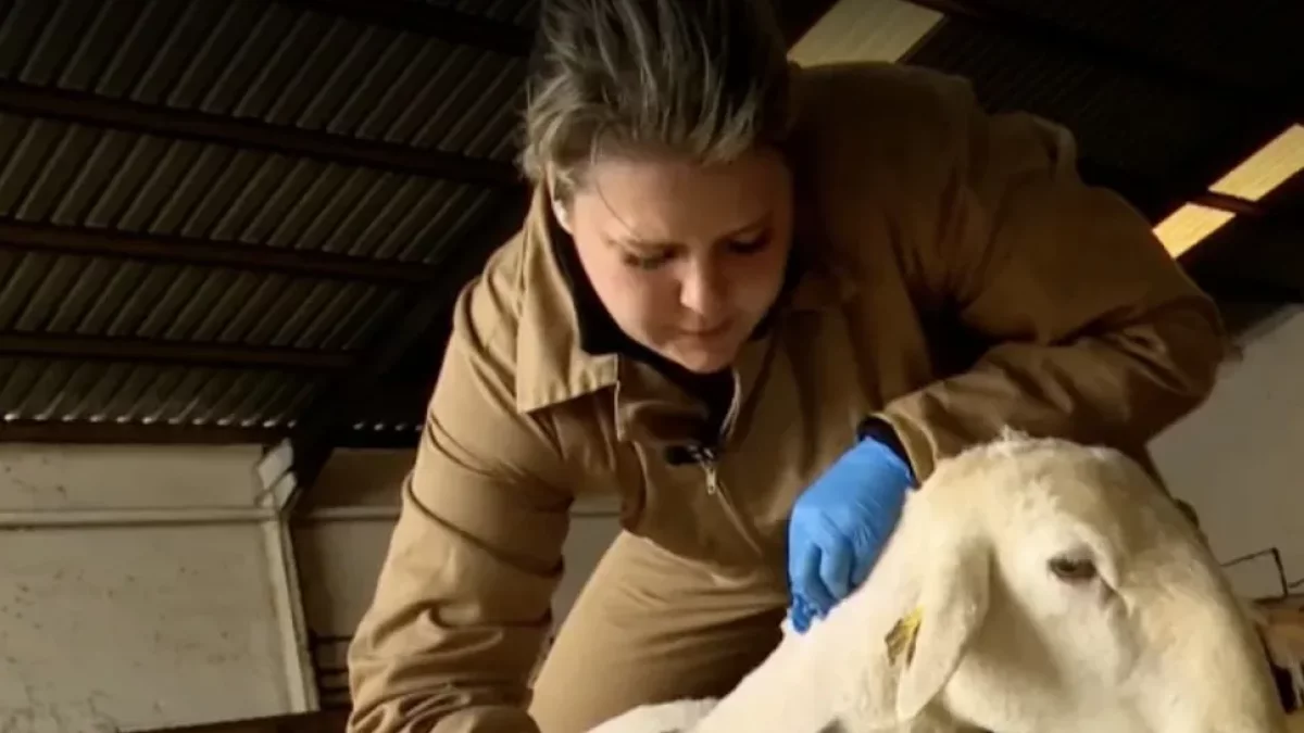 Imatge del reportatge que emet Cuatro aquesta nit. - MEDIASET