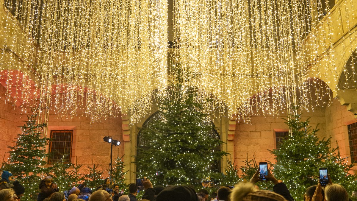 Una imatge del bosc de llum de l’IEI, a Lleida.
