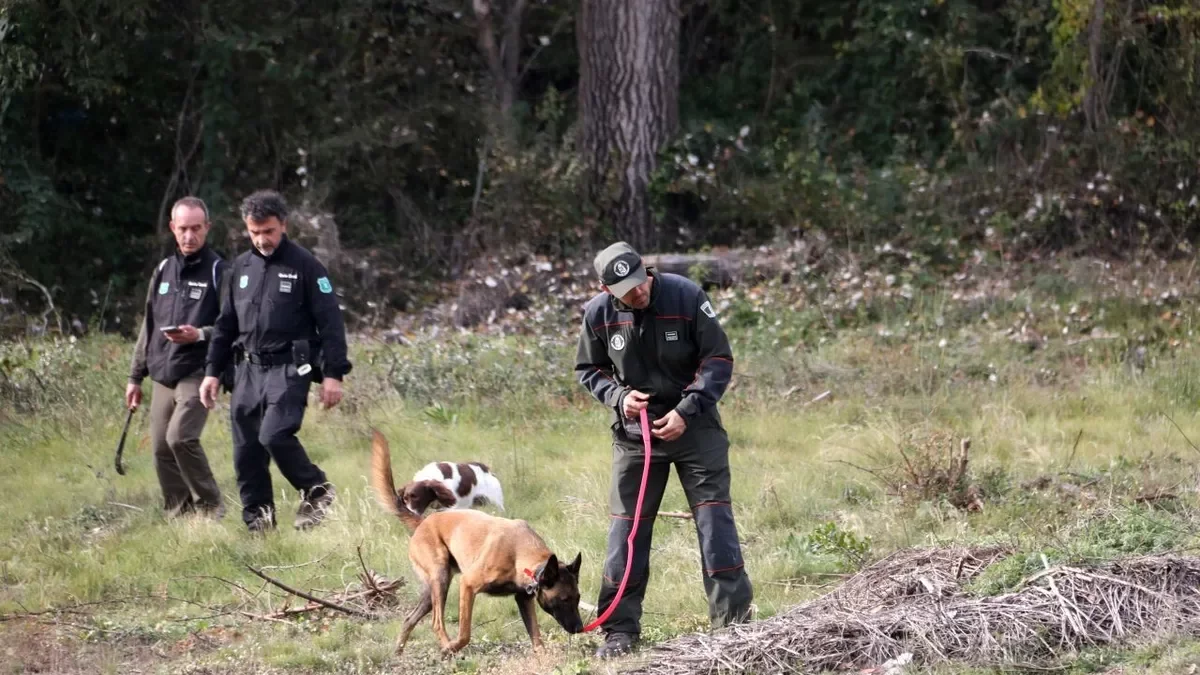 Batida de agentes rurales en busca de animales muertos en la zona de Sabadell. - PAZ CORTINA/ACN