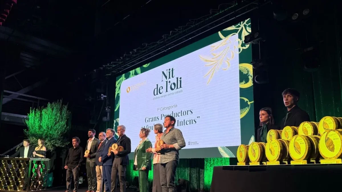 Los mejores aceites, en Lleida TV - LLEIDA TELEVISIÓ