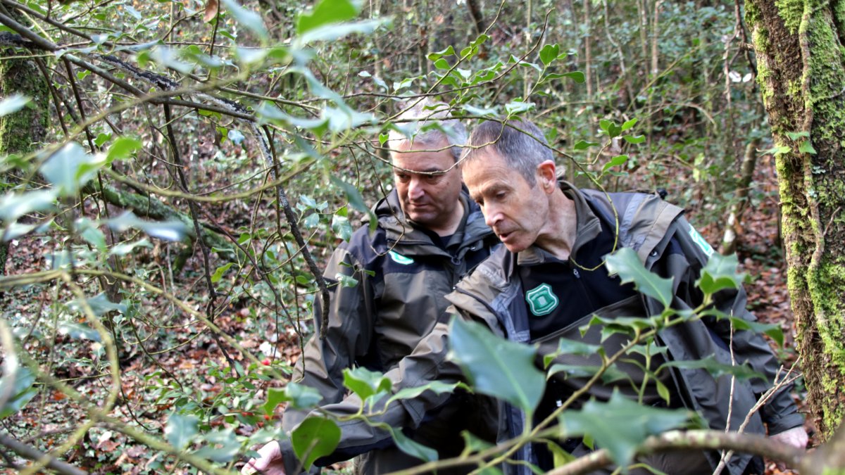 Dos agentes rurales analizando una finca en Vidreres