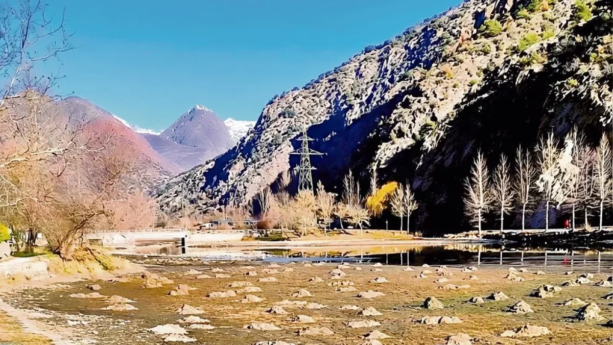 La congelació del sòl i el descens del nivell de l’aigua faciliten l’accés al vas de la Torrassa per treballar per erradicar la planta. - SOCIETAT DE PESCADORS DE LA GUINGUETA