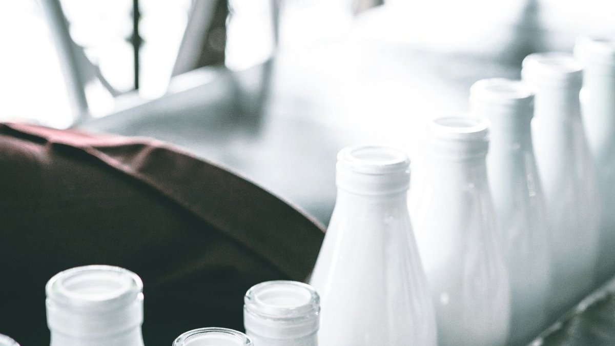 Mehrshad Rajabi / Unsplash