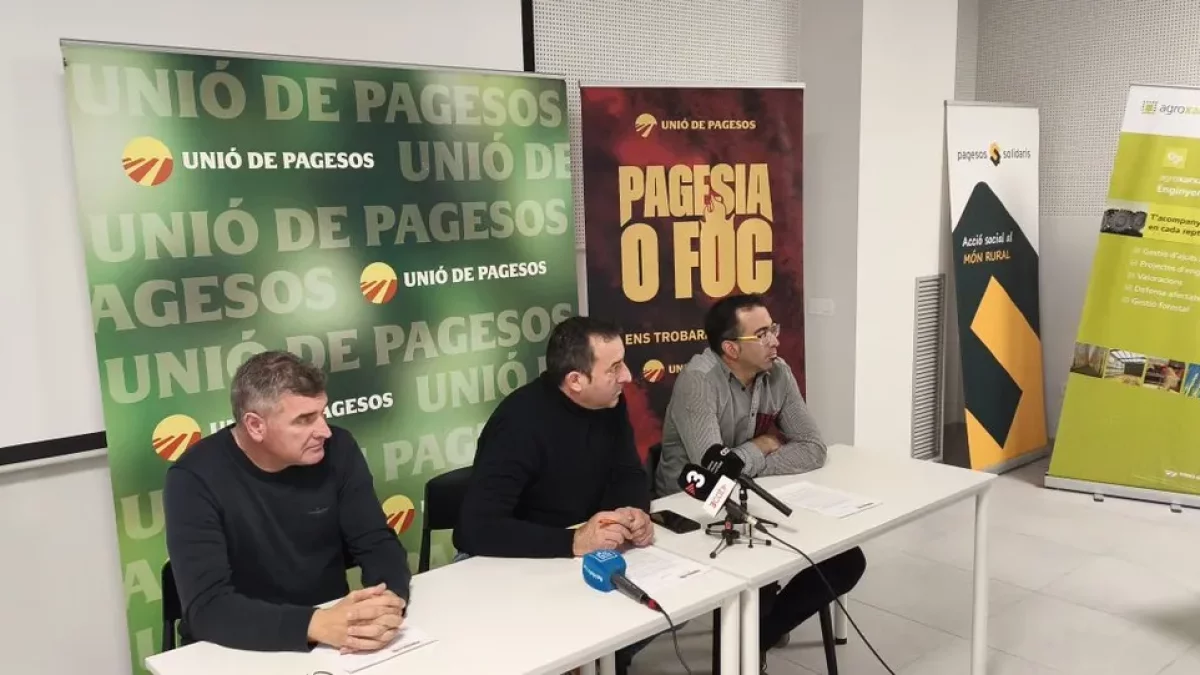 UP cifra entre 320 y 615 euros, según sea secano o regadío, las pérdidas por hectárea. - J. MARTÍNEZ