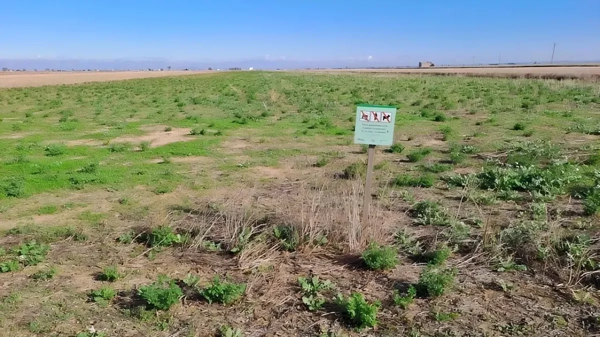 Una finca de secà en una zepa dels secans de Lleida.