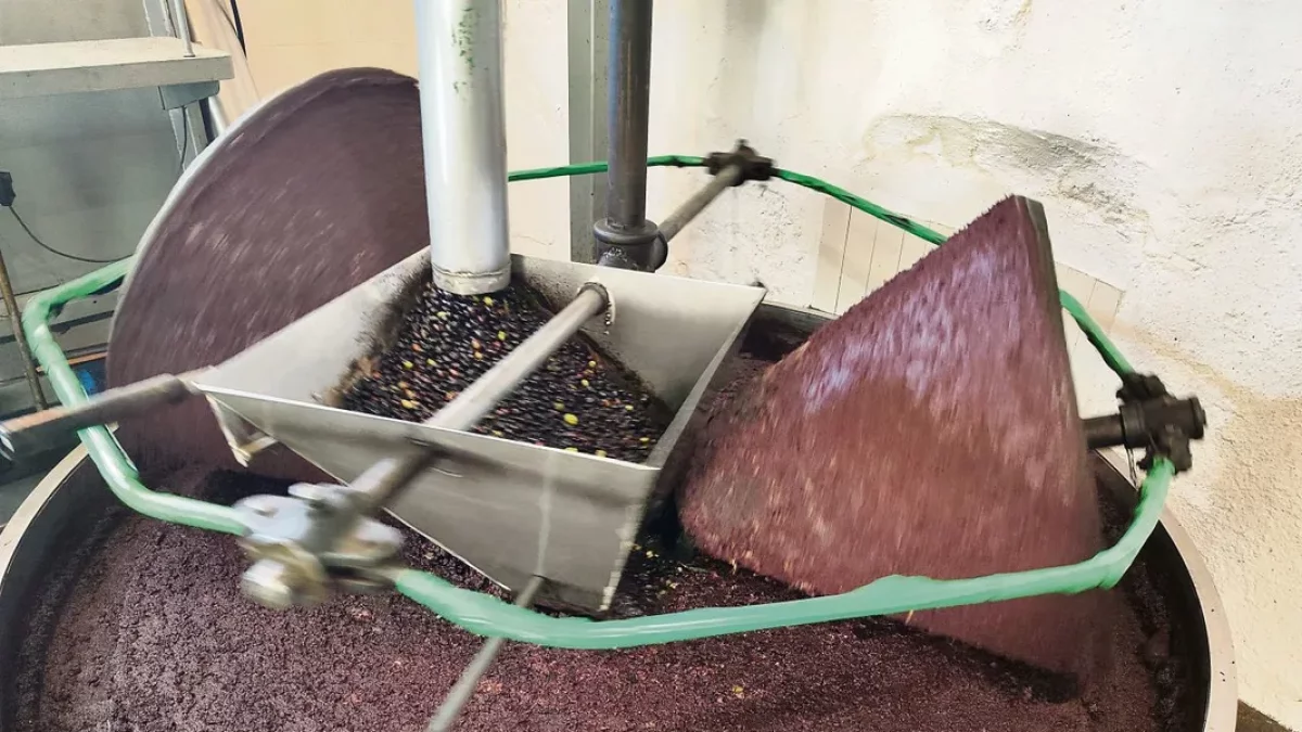 El molino sigue utilizando dos ruedas de piedra para molturar las aceitunas. - A. C.