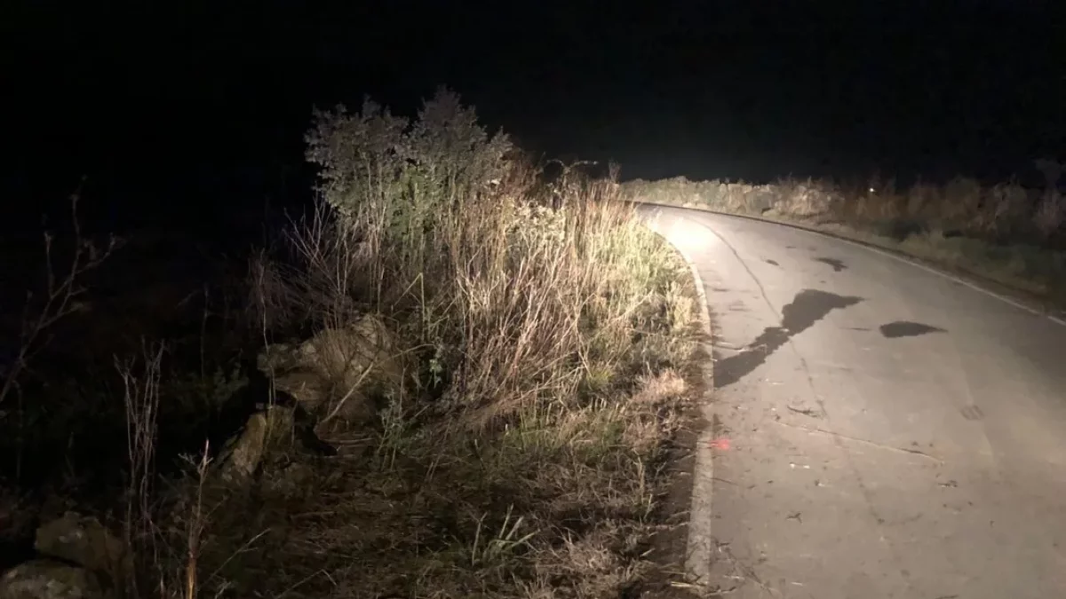 Imatge del camí asfaltat on es va produir el sinistre mortal. - SEGRE