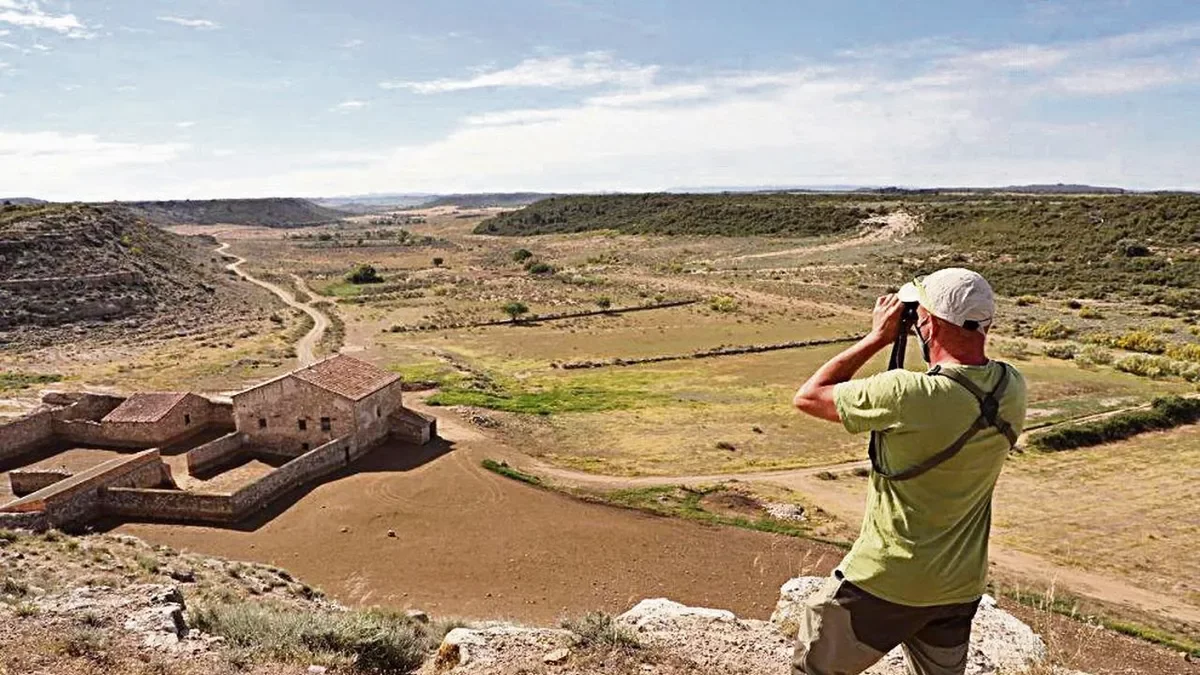 Las reserva de Mas de Melons está entre las zepas de los secanos.