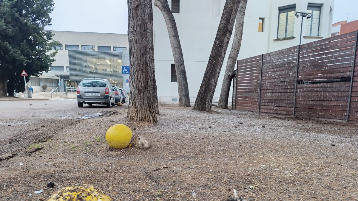 Las heces de pájaros cubren por completo el suelo de esta zona del recinto del Santa Maria.
