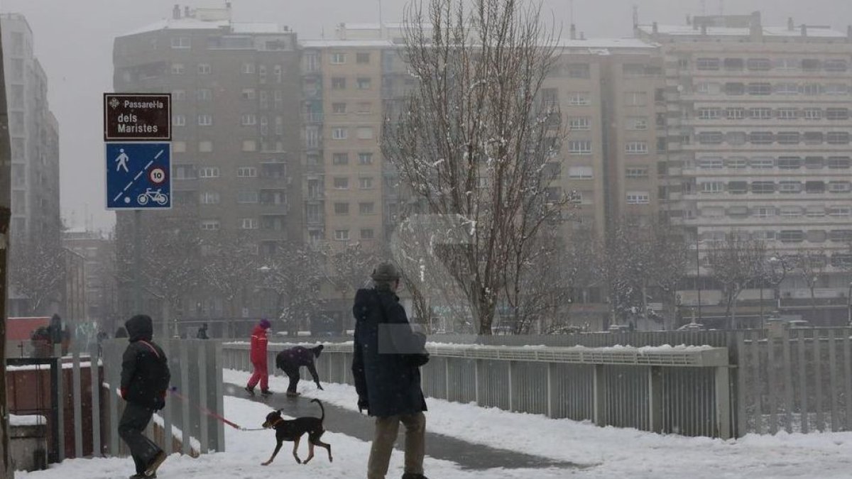 Neu a Lleida per la borrasca Filomena el gener del 2021.