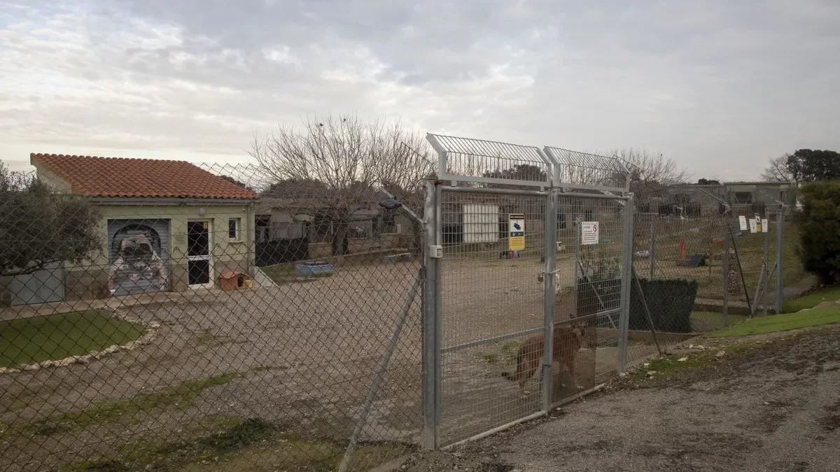 Actualmente acoge 61 perros, de los cuales casi la mitad son séniors.