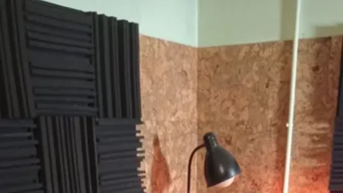 El compositor, músic i escriptor lleidatà Ramon de Fustegueres.