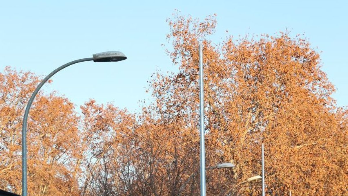 Demores amb el nou enllumenat del recinte firal als Camps Elisis de Lleida.