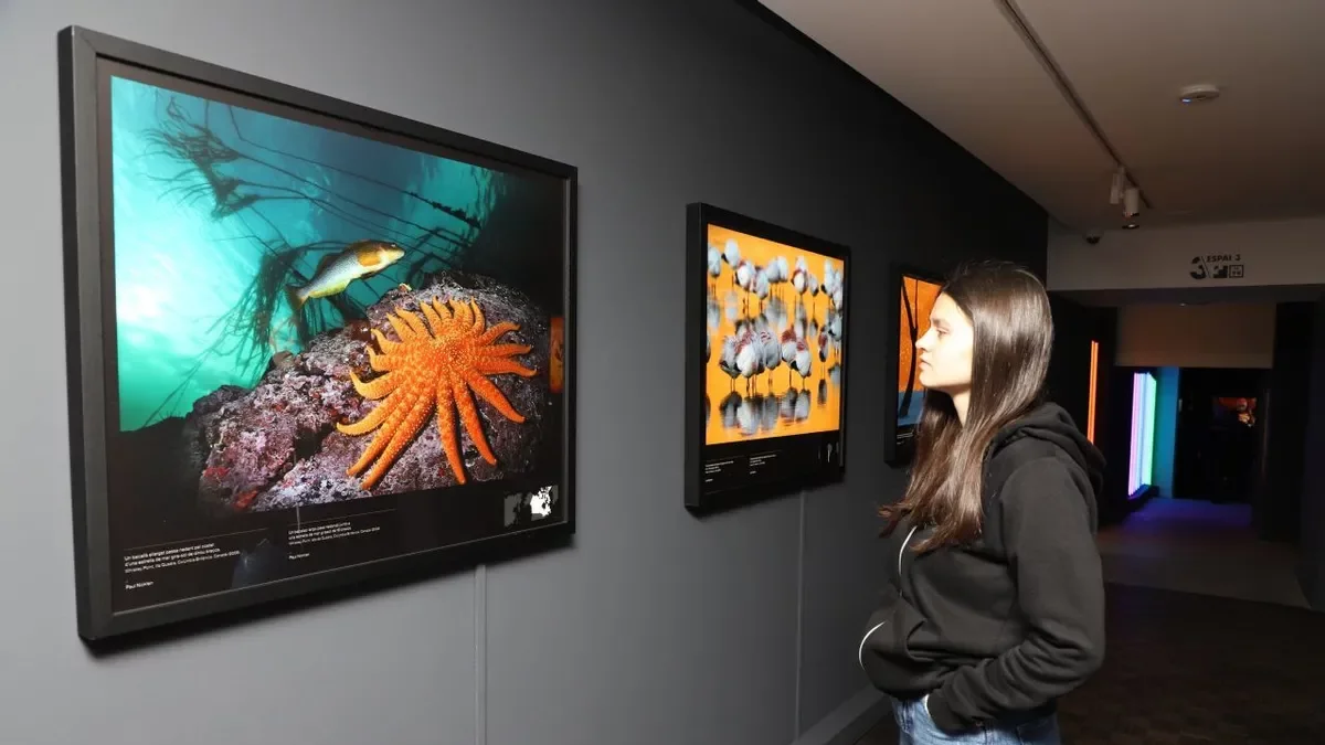 Exposició ‘Colors del món’, amb fotos de la ‘National Geographic’. - MAGDALENA ALTISENT