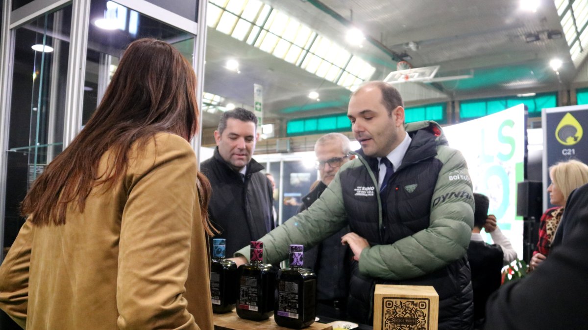 El conseller de la Presidència, Albert Dalmau, en un dels expositors de la 29a Fira de l'Oli de les Borges Blanques.