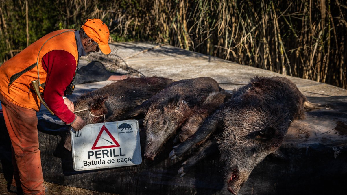 Una batuda de caça en una imatge d’arxiu.