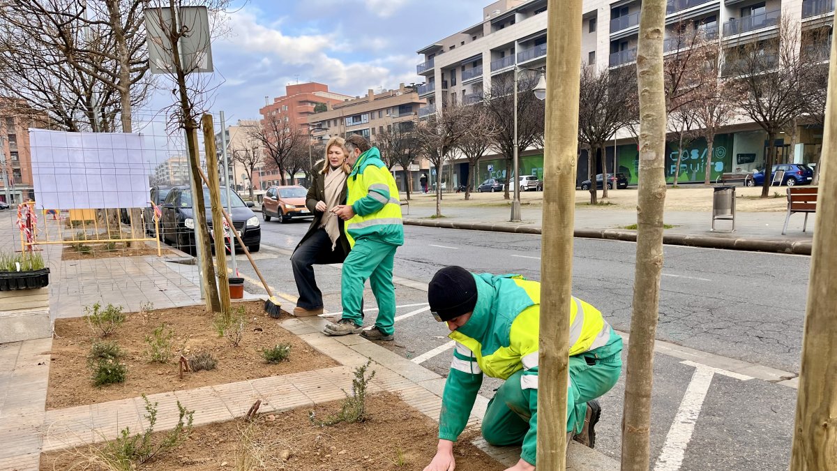 La tinenta d'alcalde i regidora de Sostenibilitat, Begoña Iglesias, amb l'equip de Raga, a l'illa de vegetació davant de l'EOI