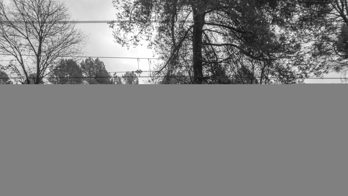 David Oller - Europa Press