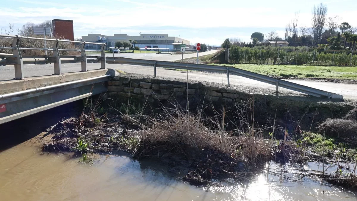 Séquia amb herbes i residus - AMADO FORROLLA