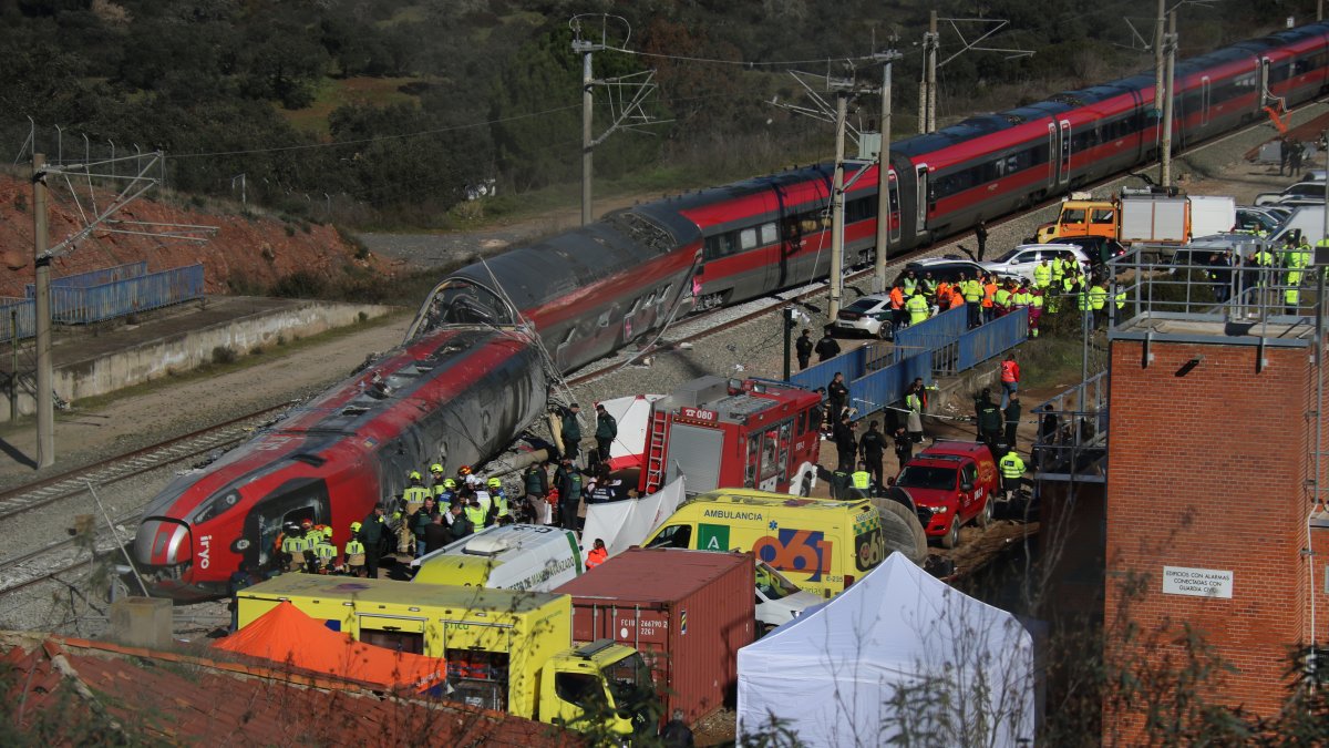 Imatges de l'Iryo accidentat.