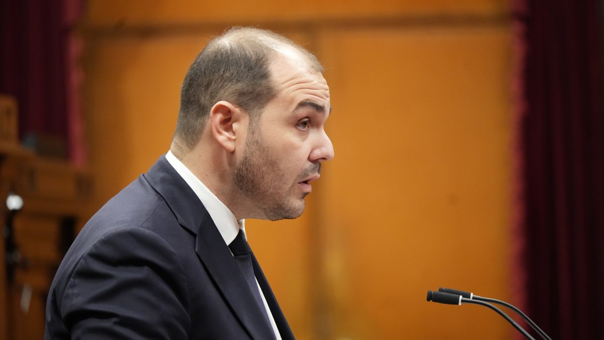 El conseller Albert Dalmau compareix a la sessió de control d'aquest dimecres.