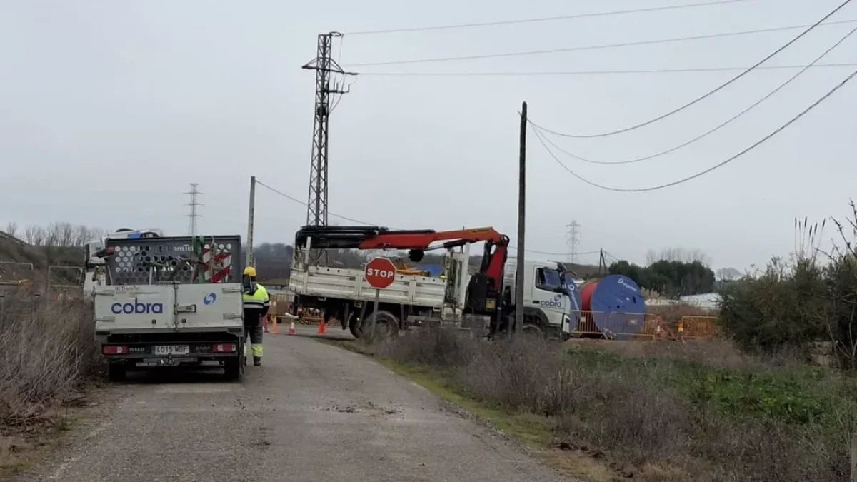 Veïns van dir que Cobra i Solaria van portar a terme els talls. - AV HORTA SUD