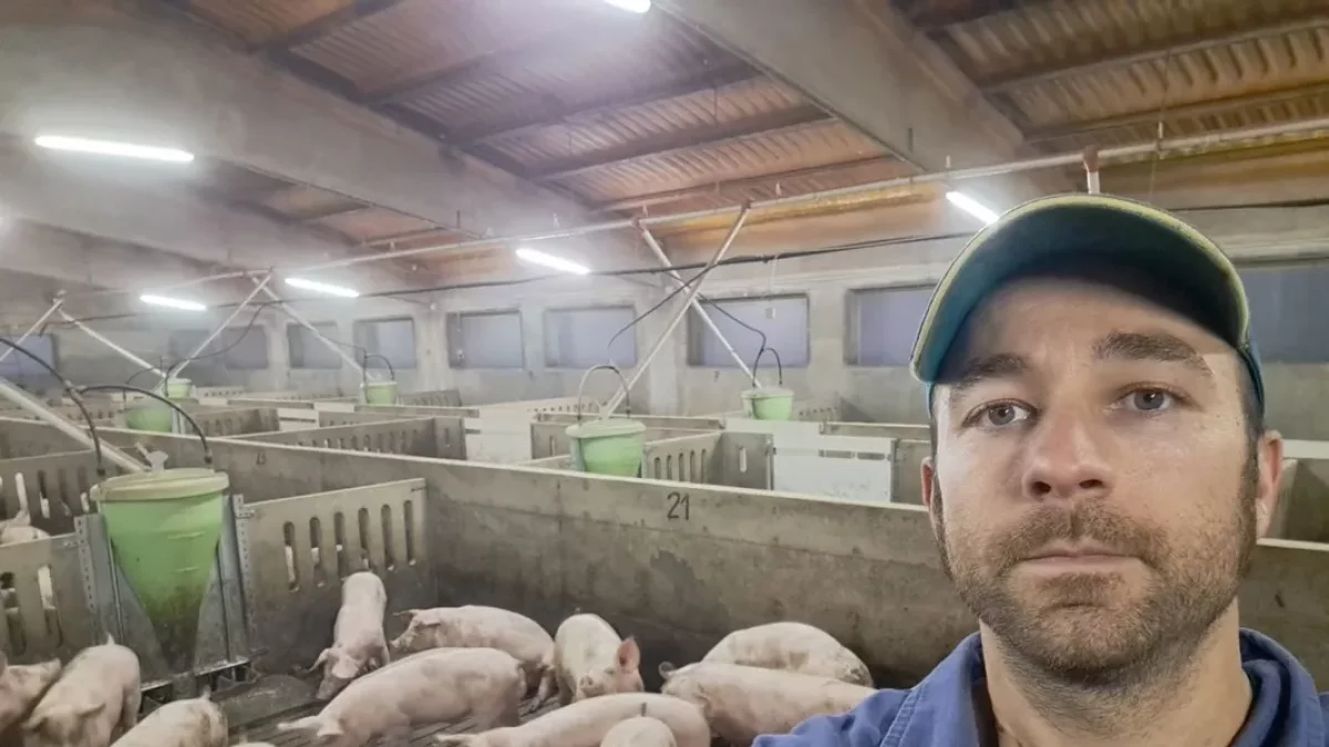 Ramon Gatnau, en su granja de Vilanova de l’Aguda, donde engorda 6.000 cerdos. - RAMON GATNAU