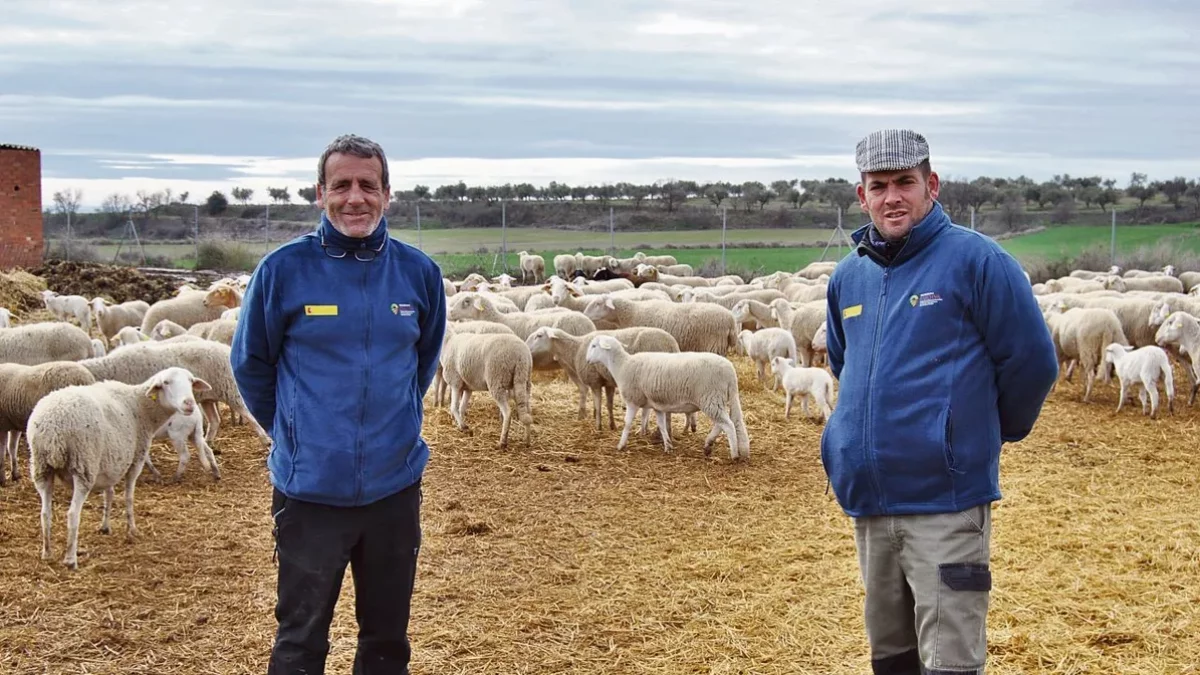 Jordi Terés i el malagueny José Sánchez Campanario, entre les ovelles de la granja d’Algerri aquesta setmana.