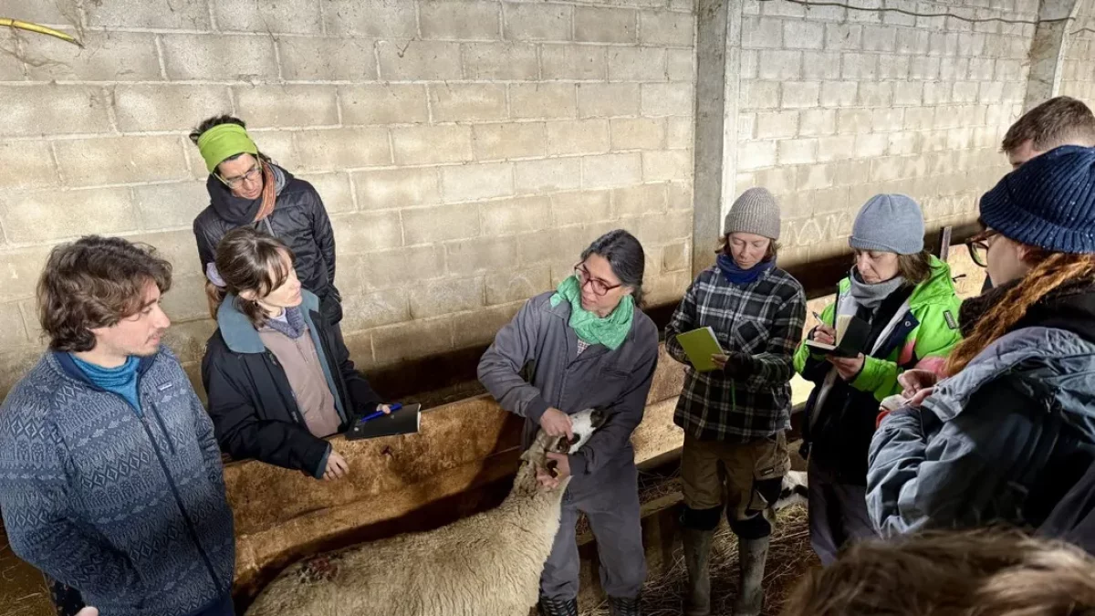 L’Escola de Pastors compleix 18 anys després de formar 300 alumnes - MARTA LLUVICH/ACN