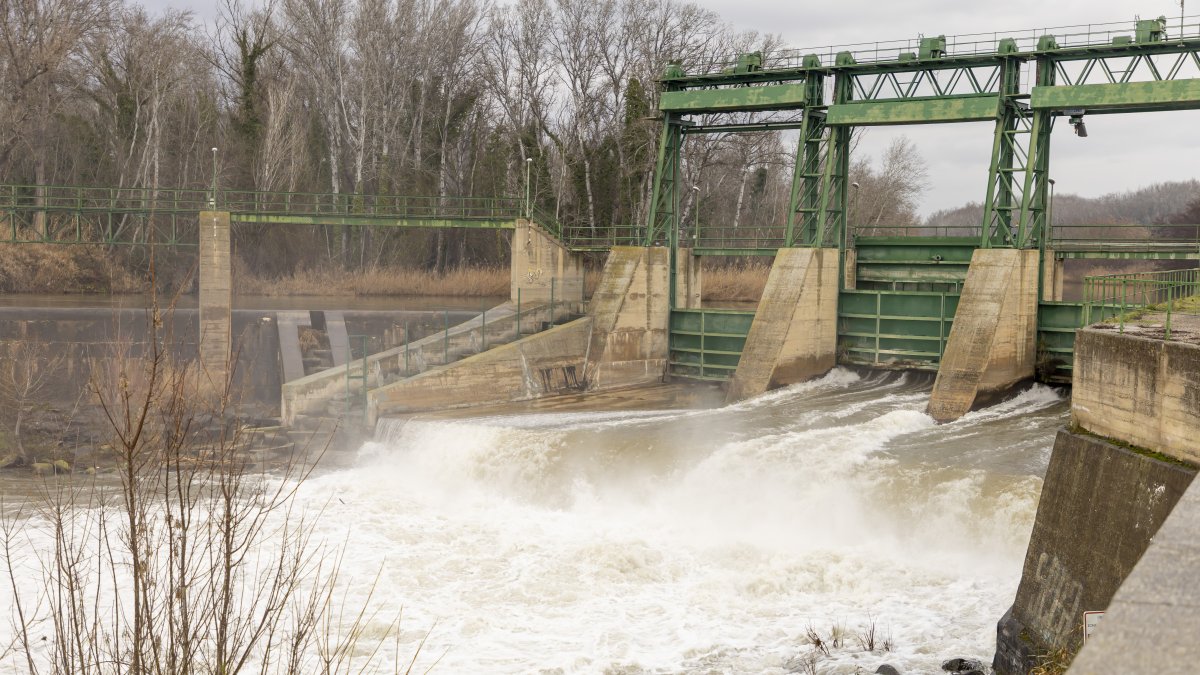 Les comportes del riu Segre a Lleida ciutat aquest dimecres al matí.