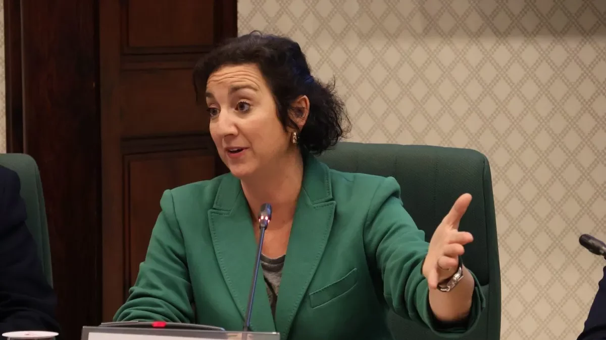 La consellera Romero, ayer en la comisión de Economía del Parlament. - PARLAMENT DE CATALUNYA