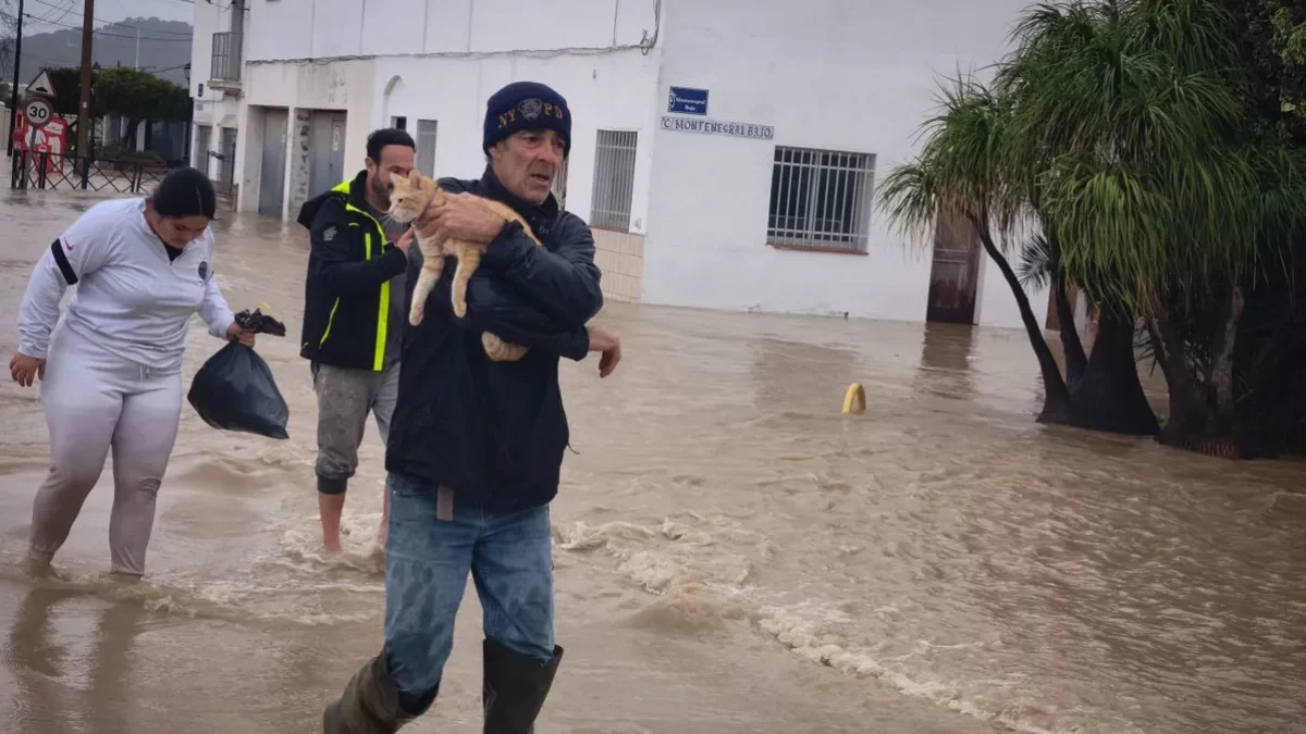 Un home evacua el seu gat pel perill de les inundacions en una localitat de Cadis. - EUROPA PRESS