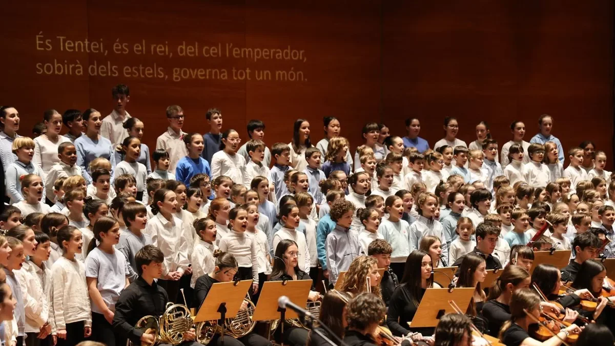 Els participants en el concert d’ahir van deixar petit l’escenari de l’Auditori. - PAERIA
