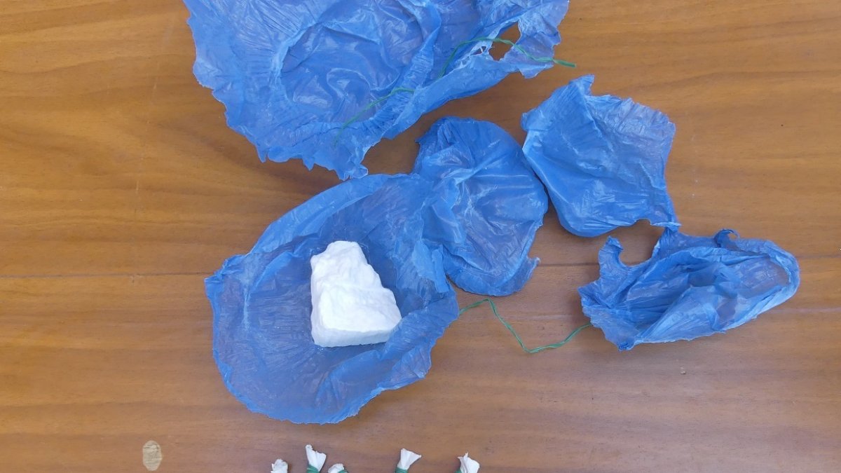 La droga comissada pels Mossos d'Esquadra en un domicili de Mollerussa.