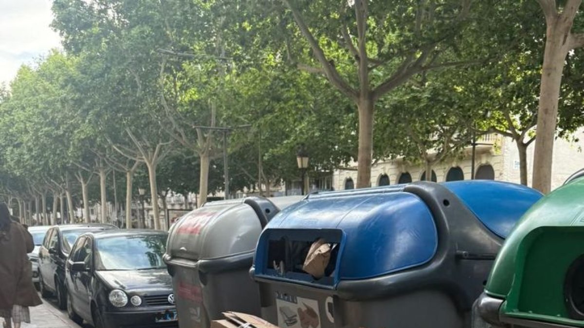 La Paeria inspeccionó 43 vertidos ilegales de basura en 2025. - AJUNTAMENT DE LLEIDA