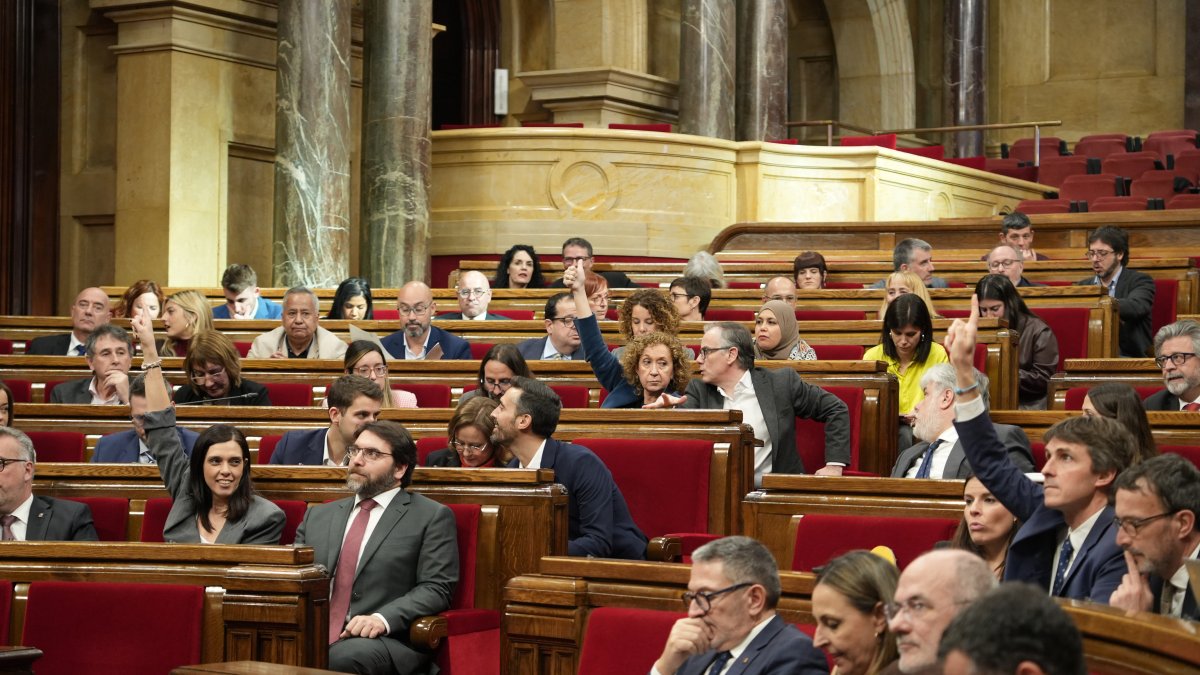El Parlament vota sobre la tramitació en lectura única de la Proposició de llei sobre el reconeixement de la singularitat d'Aran