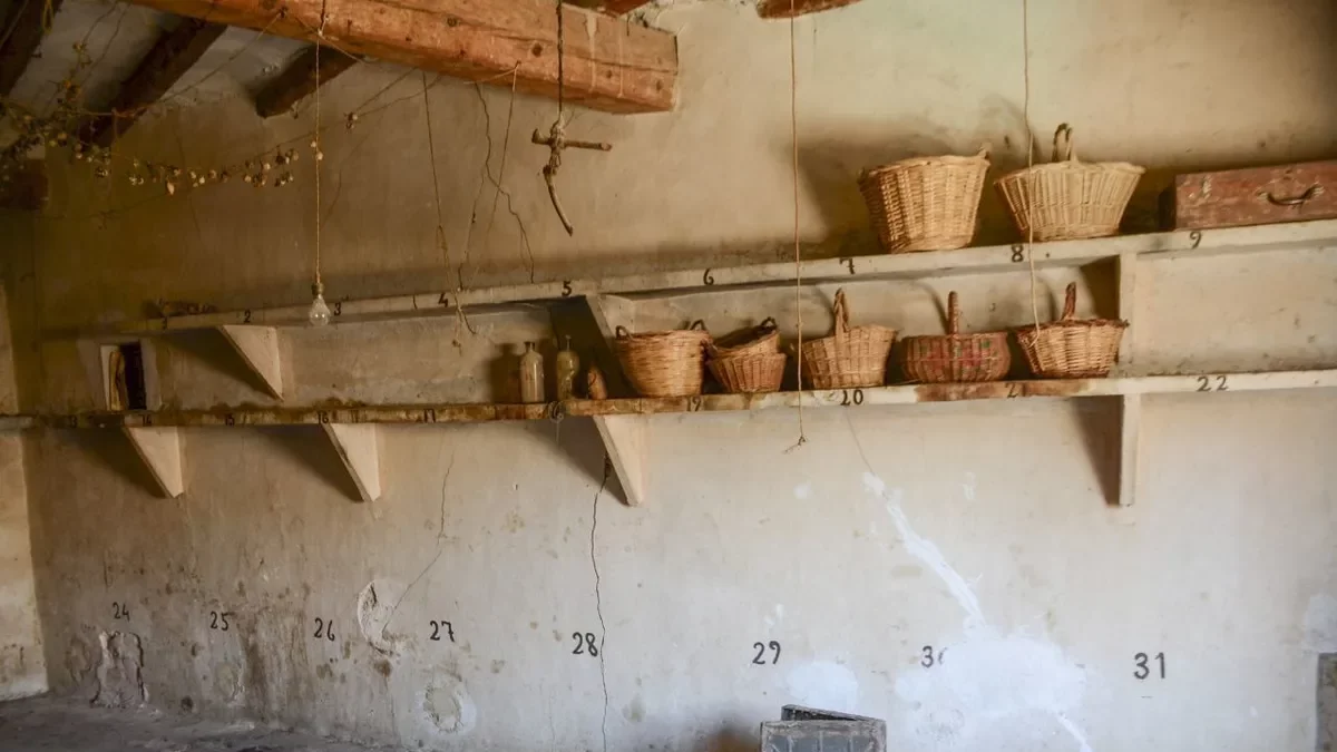 Números a les parets per ubicar els soldats ferits. - A.E.S.