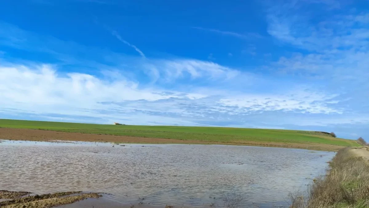 La Unilla ha començat a aflorar arran de les intenses pluges que s’hi han registrat des de finals de l’any passat. - A.A.