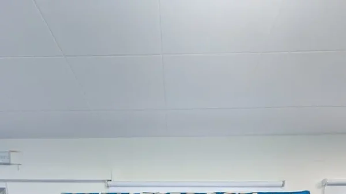 El Mollerussa té nou patrocinador - CFJ MOLLERUSSA