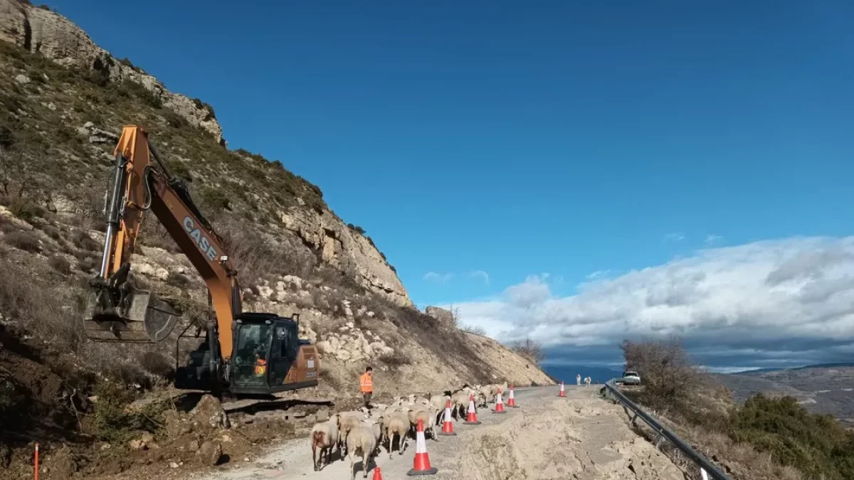 Un ramat d’ovelles passa vora el tram enfonsat de l’LV-9124 que uneix la C-13 amb Sant Esteve. - DIPUTACIÓ