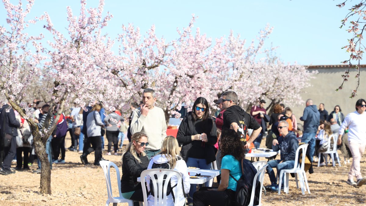 La iniciativa està programada per a diumenge, a partir de les nou.