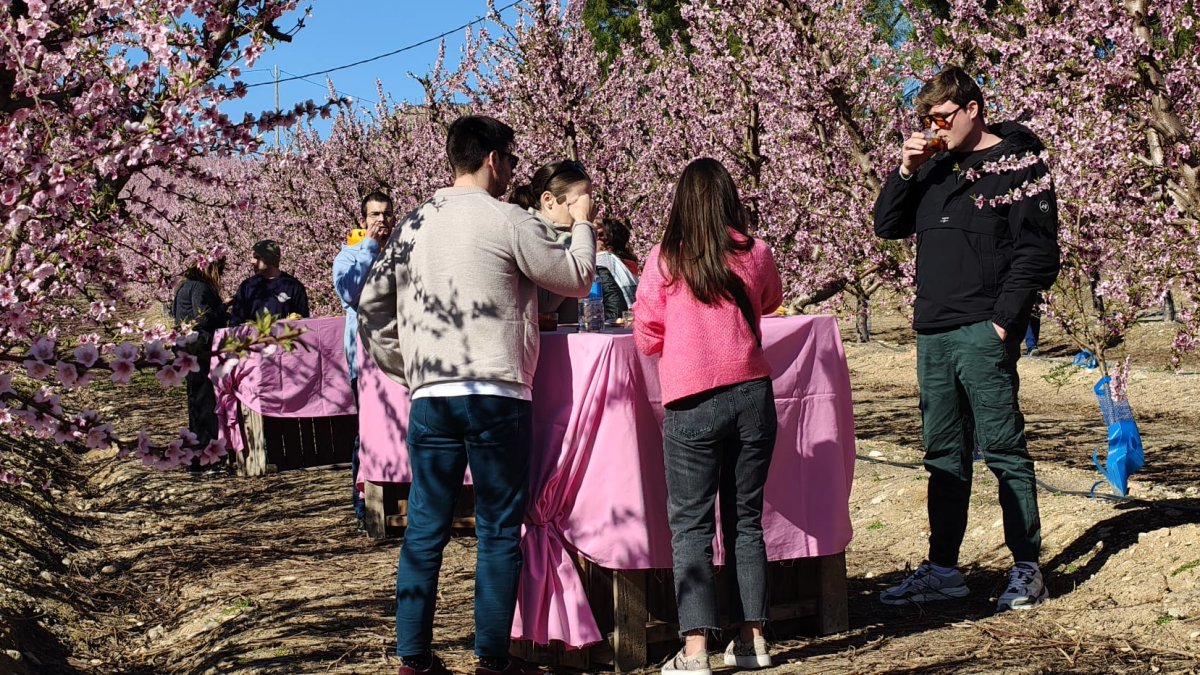 Un grup de persones gaudint del vermut entre la floració