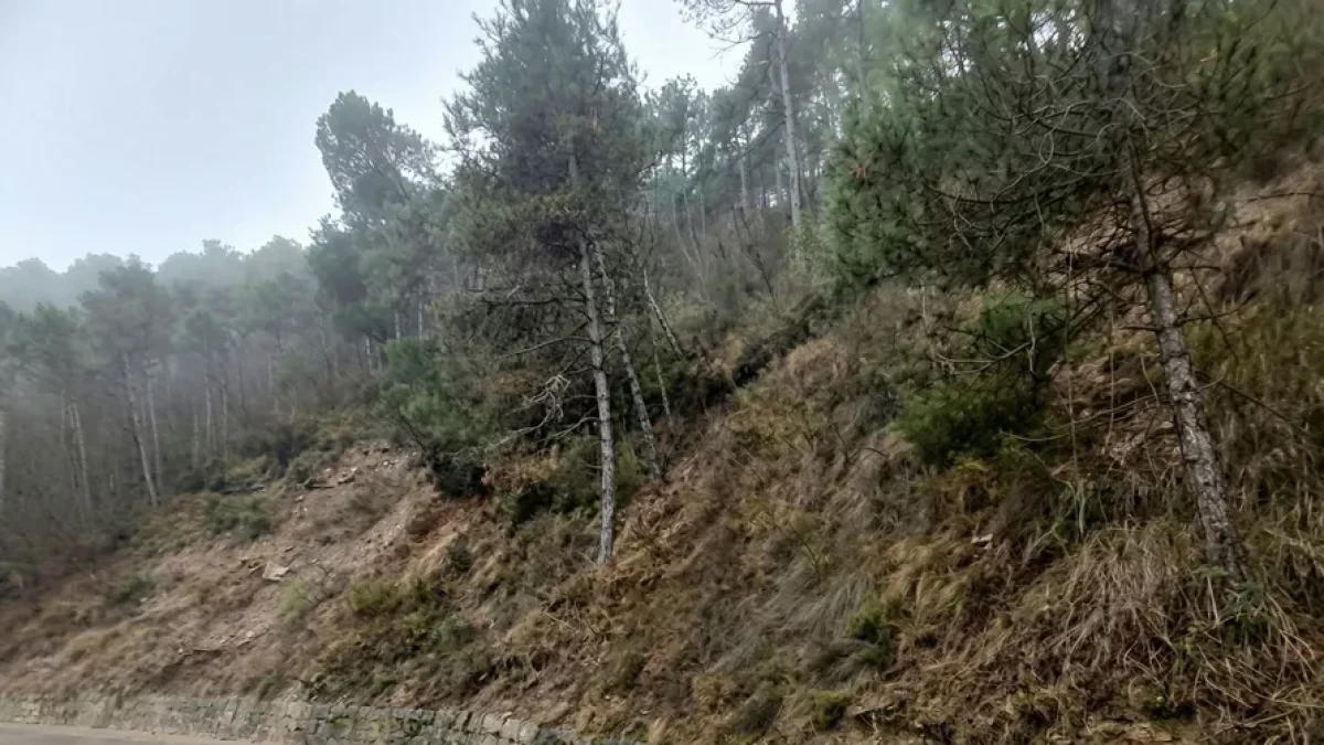 Uno de los caminos donde se llevarán a cabo las actuaciones. - CONSELL COMARCAL DEL SOLSONÈS