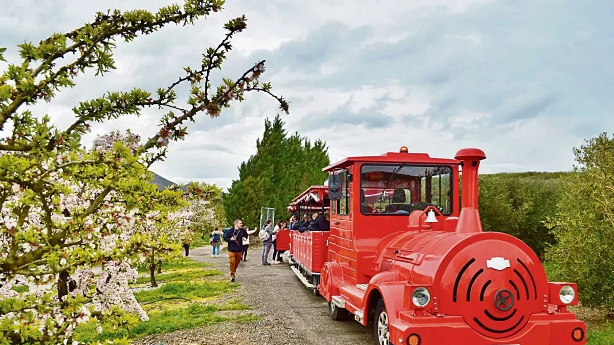 Unes 200 persones van anar a la Granja d’Escarp a veure arbres florits en un tren turístic. - AJUNTAMENT DE SERÒS