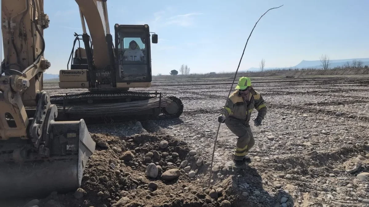 La plantació se centra en espècies autòctones del Cinca. - AJUNTAMENT DE FRAGA