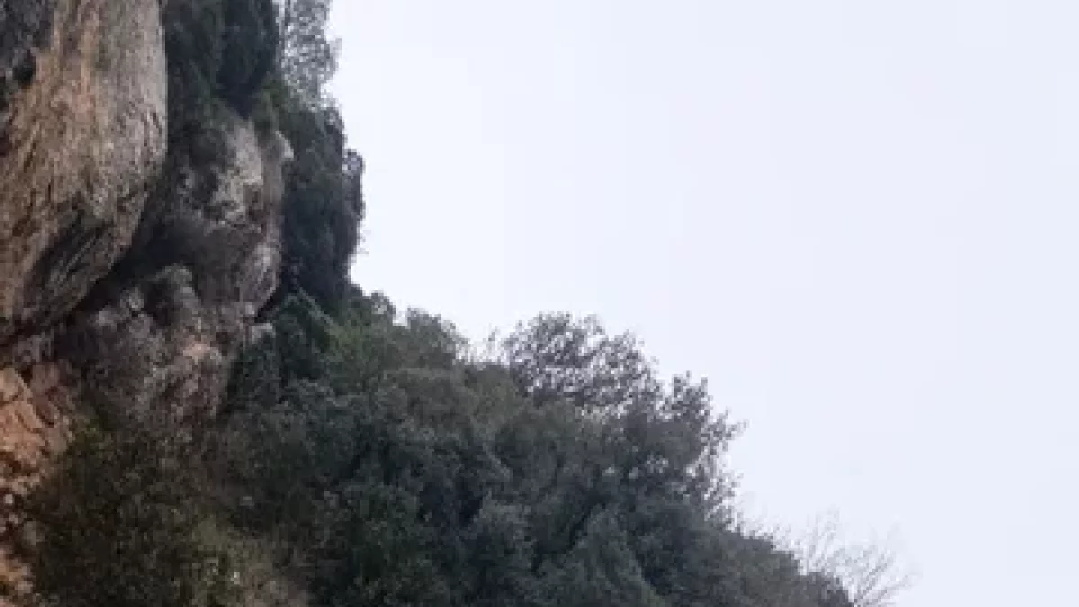 A la zona afectada hi ha més roques danyades.