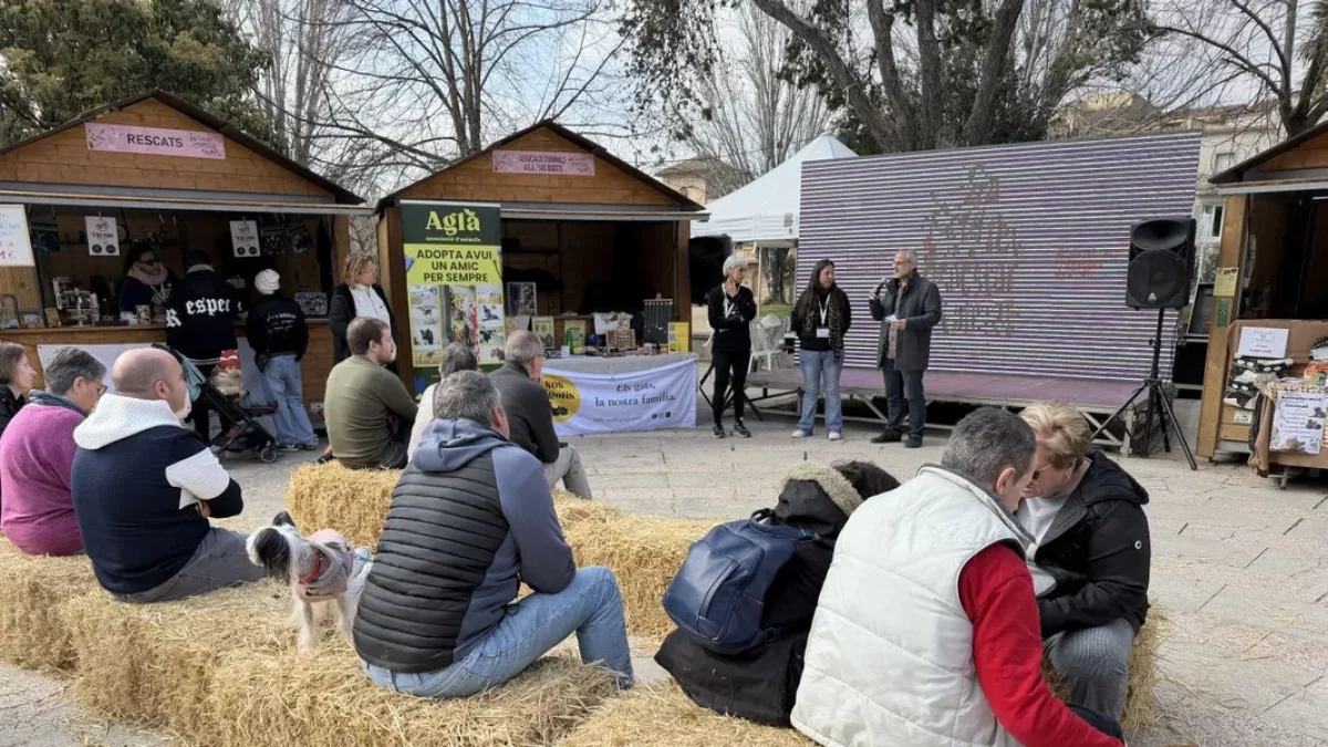 Actividad sobre gestión de gastos en la Fira de Benestar Animal. - A.L.B.B.