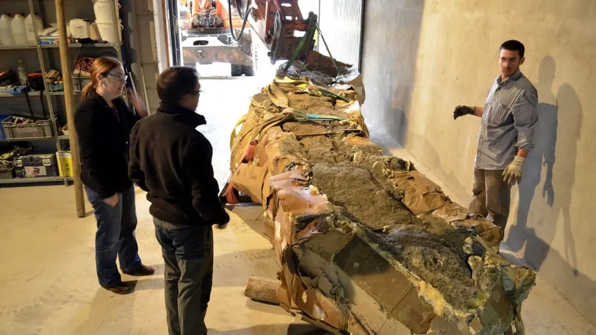El cuello del dinosaurio, al llegar al almacén del museo, en Isona, donde ha sido restaurado. - ICP