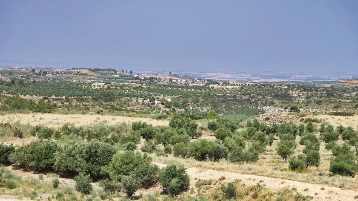 Las zepas de los secanos de Lleida incluyen 14.000 ha en las que el riego y algunas prácticas agrícolas están sometidas a restricciones.