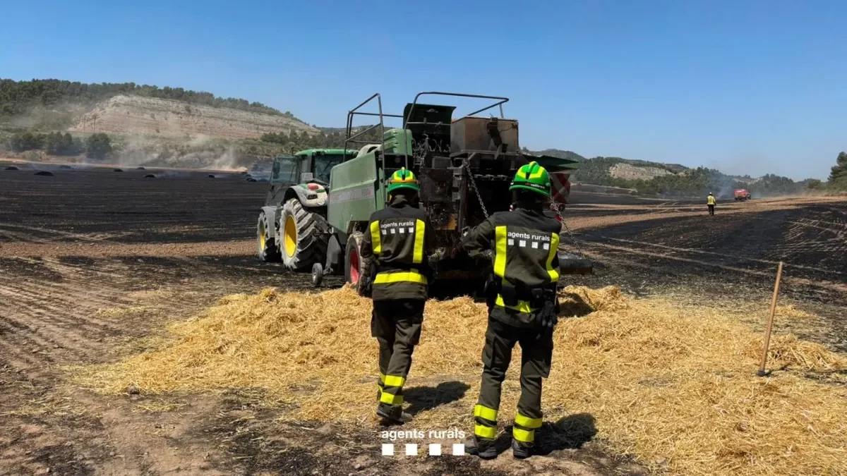 Imagen del incendio de L’Albi, que obligó a cortar tres horas la línea de alta velocidad. - JORDI BONILLA